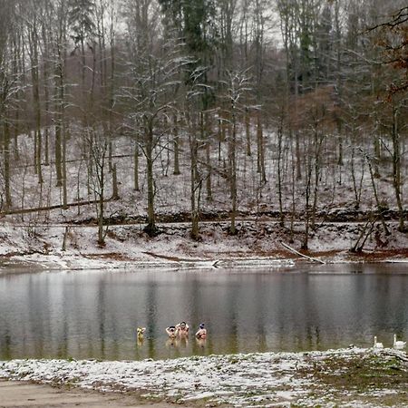 Bosko Domki Z Sauna I Balia W Sulminie Obok Gdanska Bagian luar foto